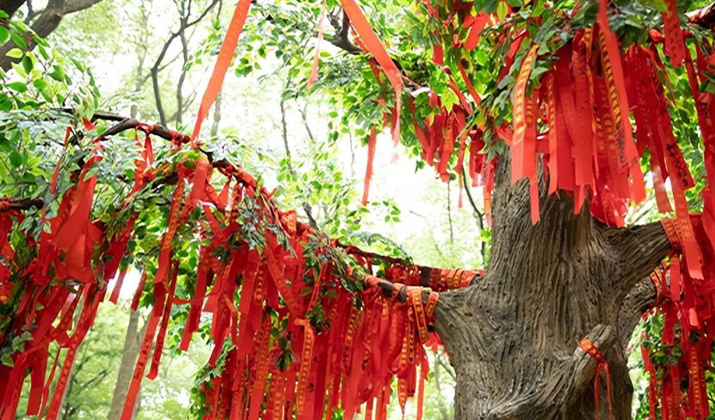 仙鹤来花在卧室内好吗