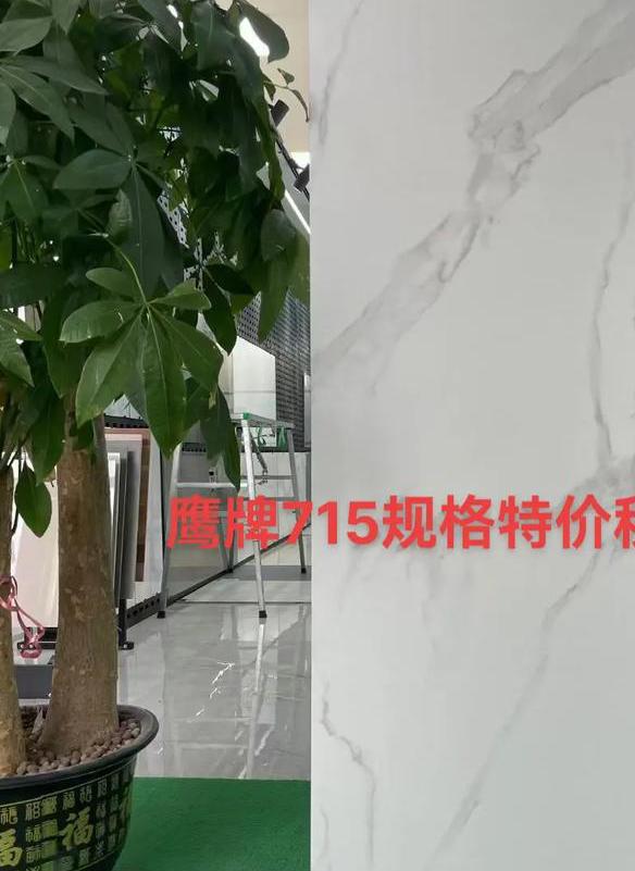 鹰牌瓷砖怎么样